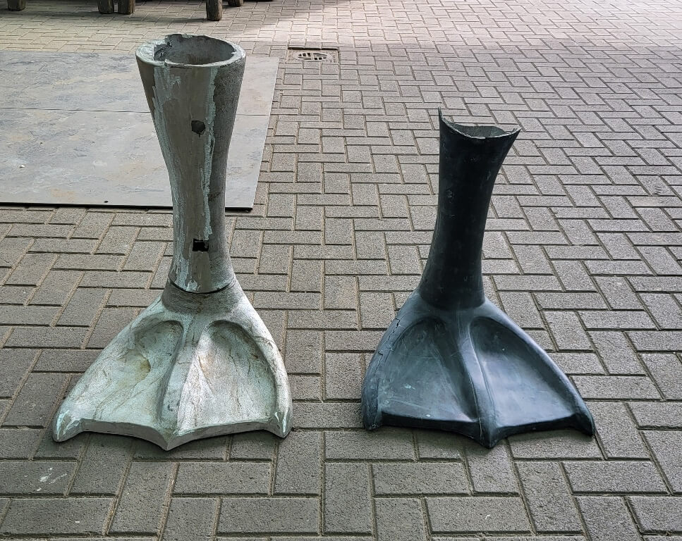 Black Swan - alter und neuer Fuß Black Swan - alter und neuer Fuß